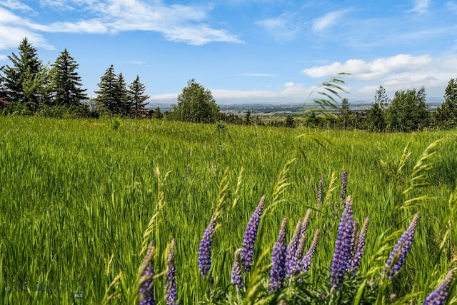 8965 Sandy Creek Ln, Bozeman, MT 59715 - photo 59