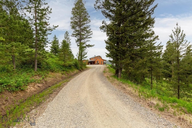 185 Peak, Bozeman, MT 59715 - view of dirt / gravel driveway