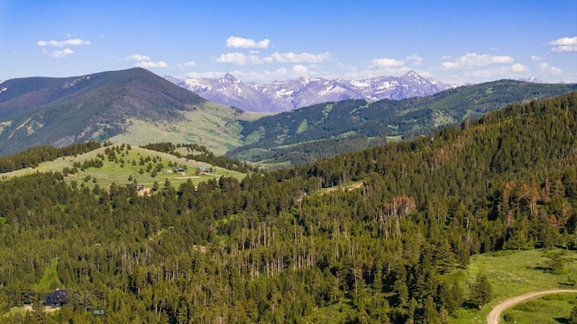 185 Peak Rd, Bozeman, MT 59715 - photo 17