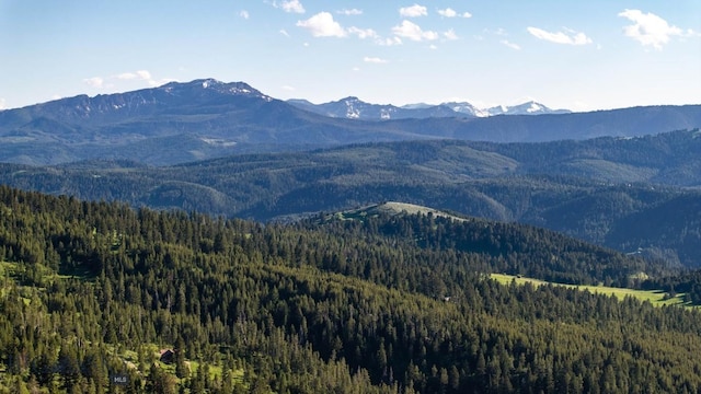 185 Peak, Bozeman, MT 59715 - view of mountain background featuring a heavily wooded area