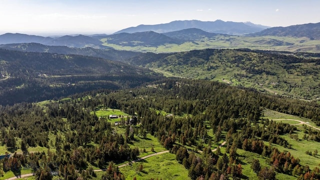 185 Peak, Bozeman, MT 59715 - mountain view with a forest