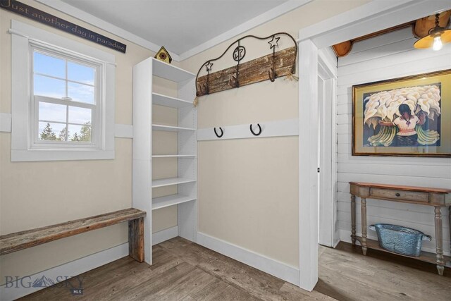 185 Peak, Bozeman, MT 59715 - mudroom featuring wood finished floors