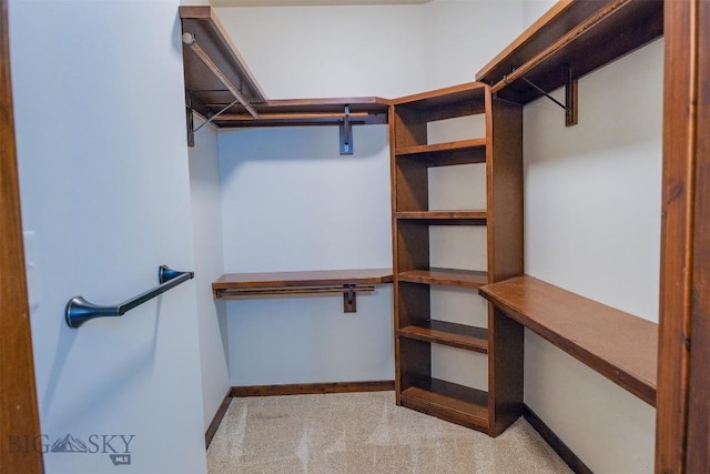 3230 S 26th Ave, Bozeman, MT 59718 - spacious closet featuring carpet