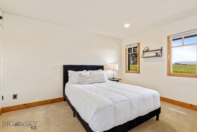 2449 Turkey Red Ln, Bozeman, MT 59715 - photo 77