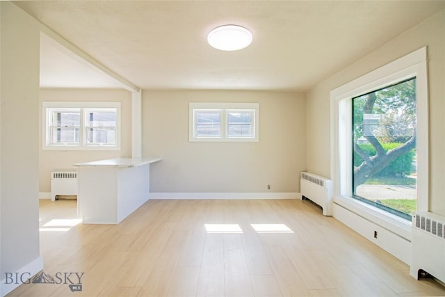 1940 Locust, Butte, MT 59701 - spare room with radiator and light wood-style flooring