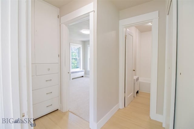 1940 Locust, Butte, MT 59701 - hallway with radiator heating unit and light wood-style flooring