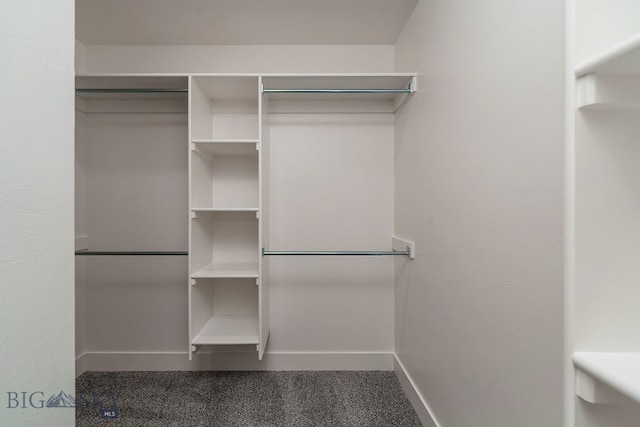 2204 Oriole Dr, Belgrade, MT 59714 - walk in closet featuring carpet