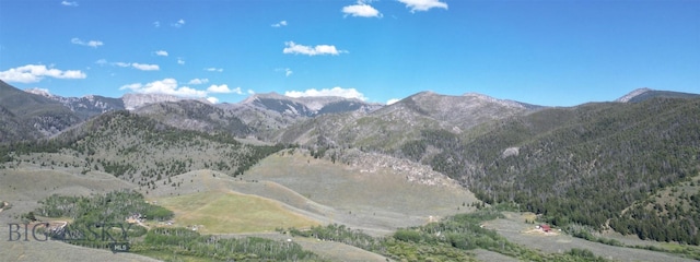 LOT2 Dillon Dr, Polaris, MT 59724