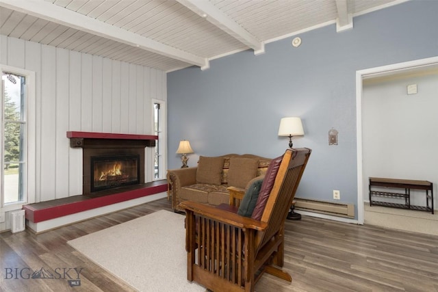 139 Spruce Cone Dr Unit 14, Big Sky, MT 59716 - living room featuring baseboard heating, beamed ceiling, a glass covered fireplace, wood finished floors, and plenty of natural light