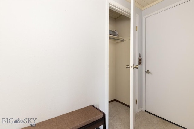 139 Spruce Cone Dr Unit 14, Big Sky, MT 59716 - view of closet