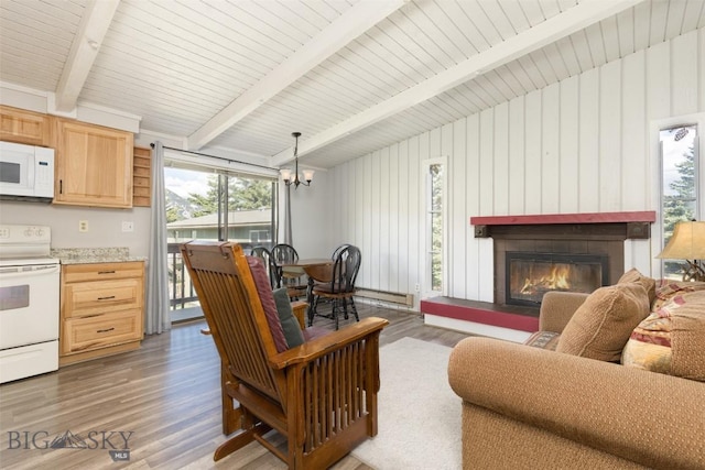 139 Spruce Cone Dr Unit 14, Big Sky, MT 59716 - living area featuring wood finished floors, a glass covered fireplace, a chandelier, and a baseboard heating unit
