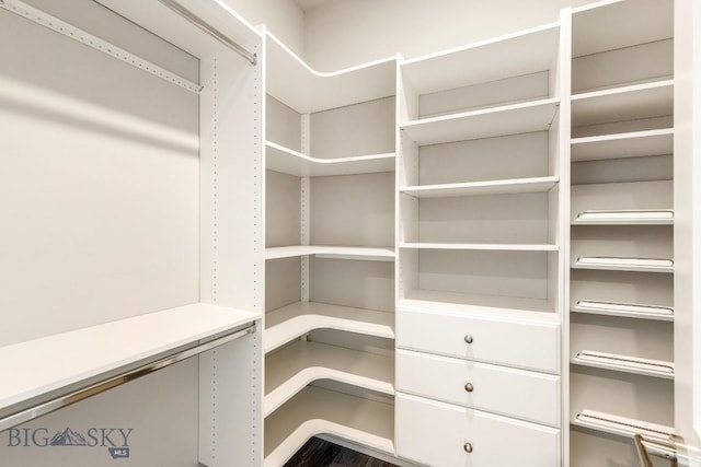 6707 Blackwood Rd Unit C, Bozeman, MT 59715 - view of walk in closet