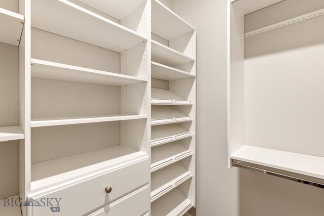6707 Blackwood Rd Unit C, Bozeman, MT 59715 - view of spacious closet