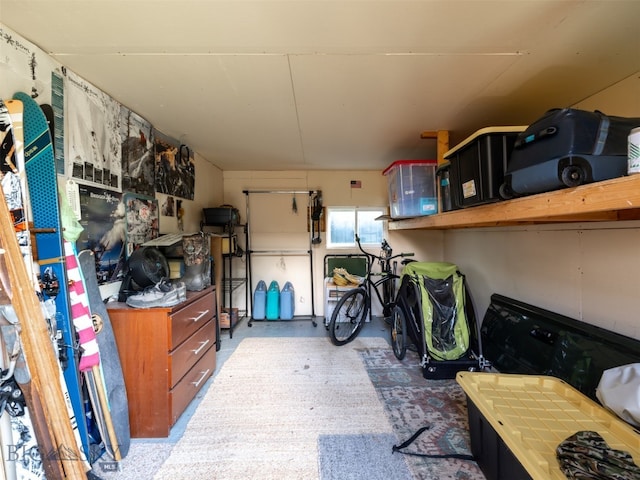 1206 N Cedarview Dr, Bozeman, MT 59715 - view of storage area
