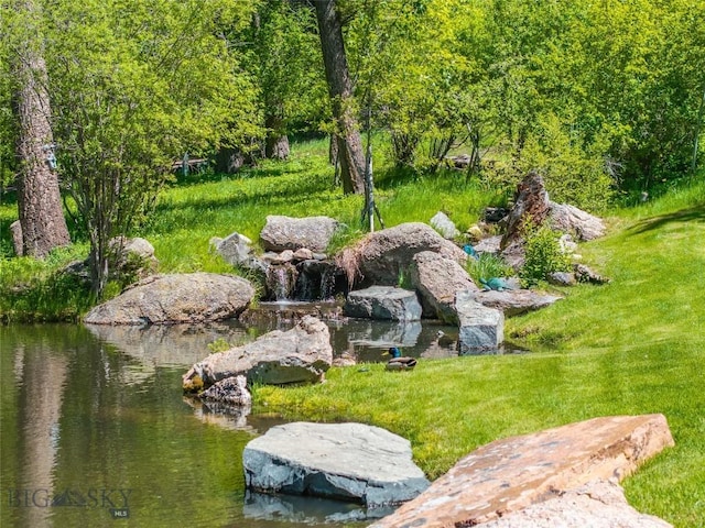 709 Limestone Rd, Bozeman, MT 59715 - view of yard