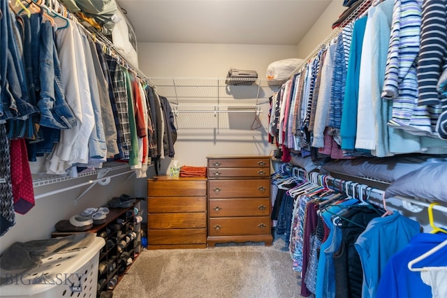 1308 Scooter Ln, Belgrade, MT 59714 - walk in closet with carpet flooring