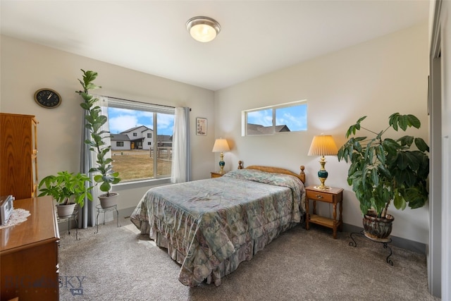 1308 Scooter Ln, Belgrade, MT 59714 - bedroom featuring carpet