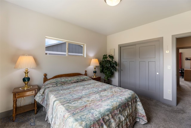 1308 Scooter Ln, Belgrade, MT 59714 - bedroom featuring carpet flooring and a closet