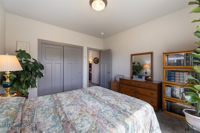 1308 Scooter Ln, Belgrade, MT 59714 - bedroom with carpet floors and a closet