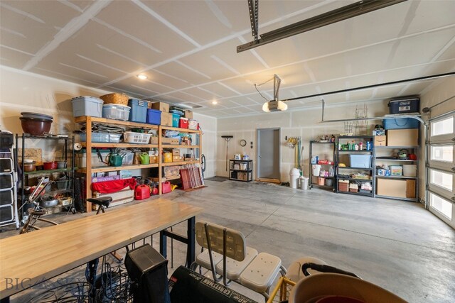 1308 Scooter Ln, Belgrade, MT 59714 - garage with a garage door opener