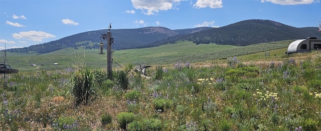 950 White Creek Ln, Polaris, MT 59746 - view of mountain backdrop with rural landscape
