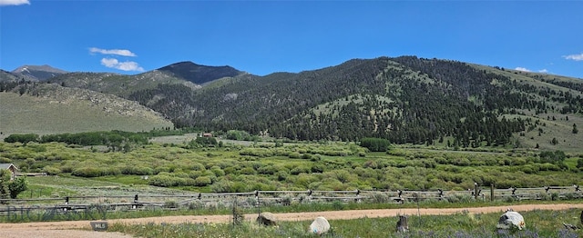 950 White Creek Ln, Polaris, MT 59746 - view of mountain backdrop