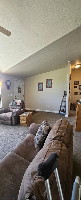 950 White Creek Ln, Polaris, MT 59746 - carpeted living area with a textured ceiling and baseboards