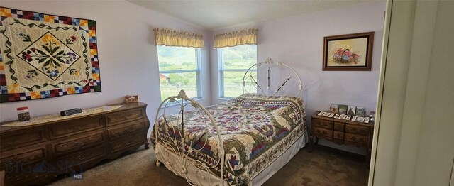 950 White Creek Ln, Polaris, MT 59746 - bedroom featuring carpet flooring and vaulted ceiling
