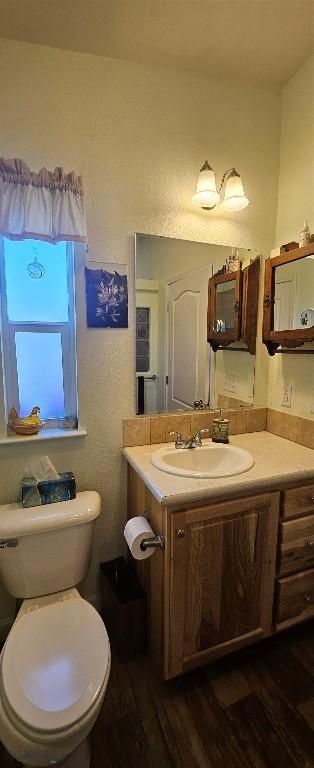 950 White Creek Ln, Polaris, MT 59746 - half bath featuring wood finished floors and vanity
