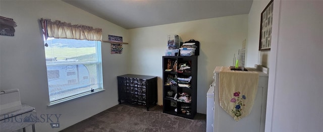950 White Creek Ln, Polaris, MT 59746 - bedroom featuring dark carpet and vaulted ceiling