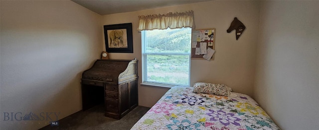 950 White Creek Ln, Polaris, MT 59746 - bedroom with dark carpet