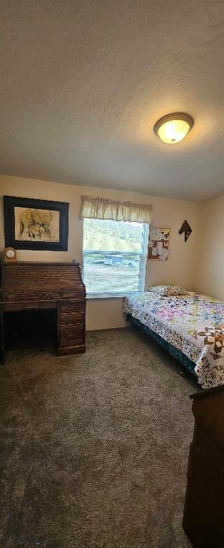 950 White Creek Ln, Polaris, MT 59746 - bedroom with carpet and a textured ceiling
