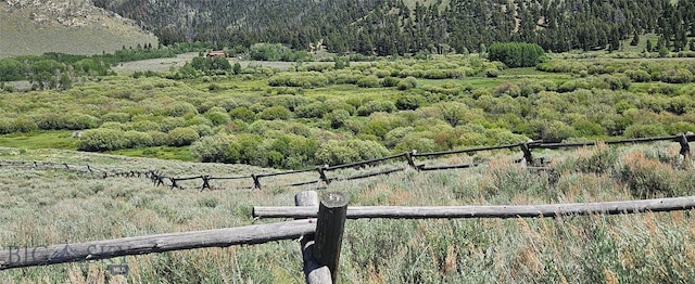 950 White Creek Ln, Polaris, MT 59746 - view of mountain background with a heavily wooded area