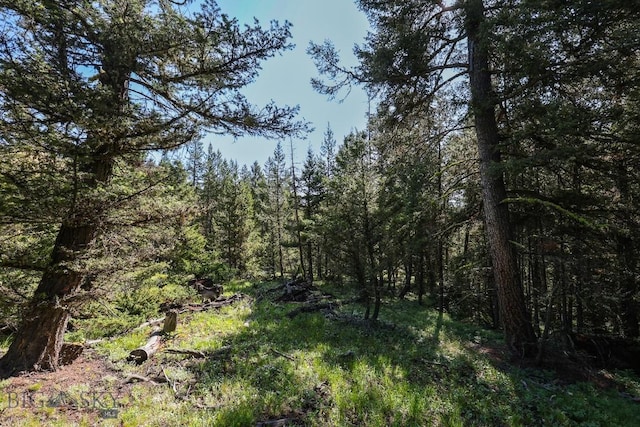 tbd Crown Butte, Big Sky, MT 59716 - photo 5