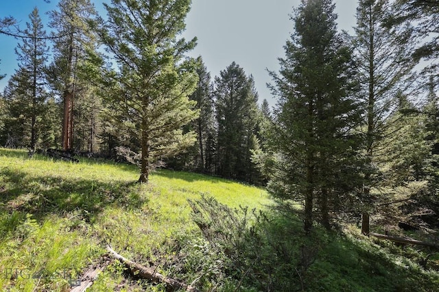 tbd Crown Butte, Big Sky, MT 59716 - photo 6