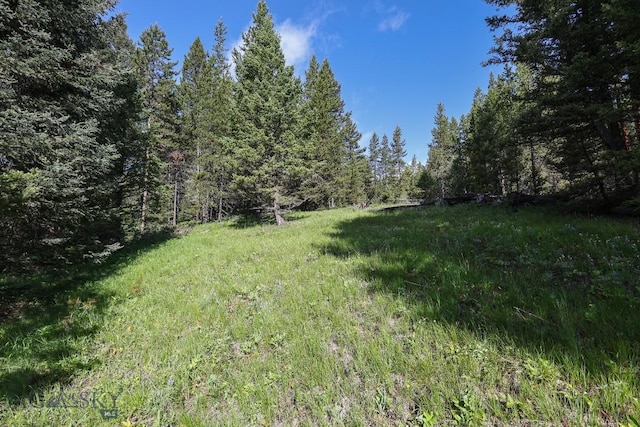 tbd Crown Butte, Big Sky, MT 59716 - photo 7