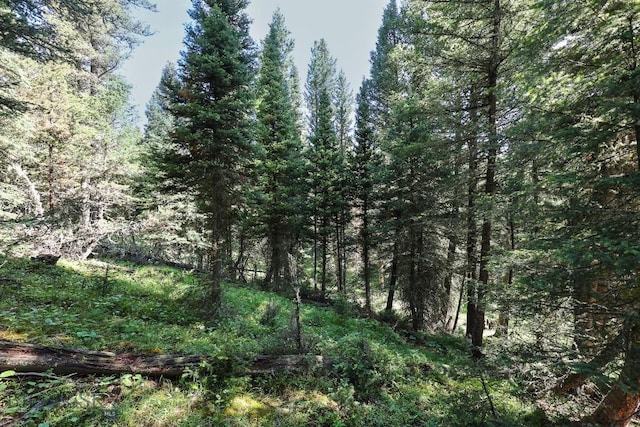 tbd Crown Butte, Big Sky, MT 59716 - photo 8