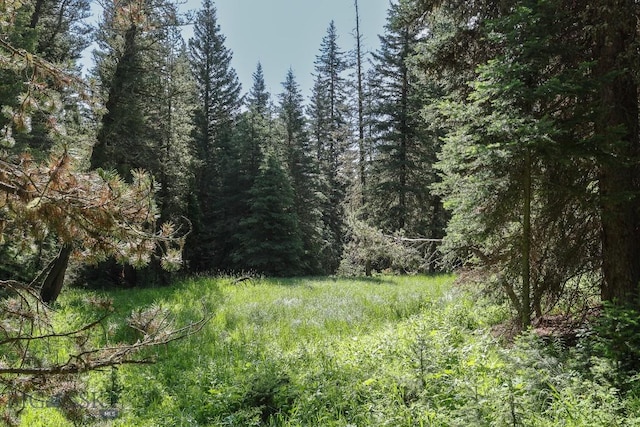 tbd Crown Butte, Big Sky, MT 59716 - photo 9