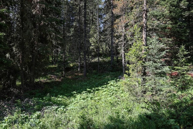 tbd Crown Butte, Big Sky, MT 59716 - photo 10