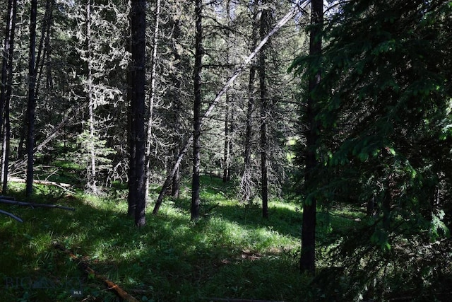 tbd Crown Butte, Big Sky, MT 59716 - photo 11