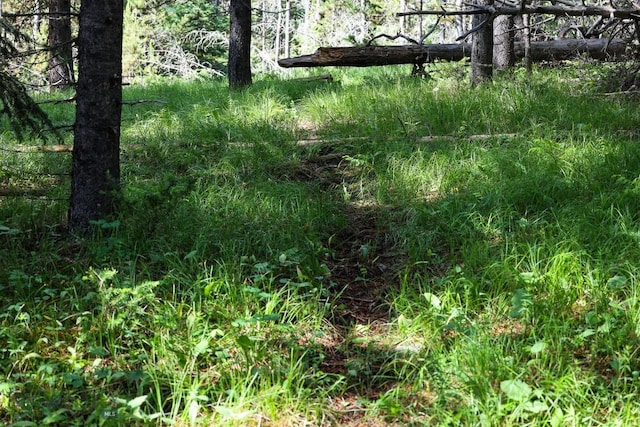 tbd Crown Butte, Big Sky, MT 59716 - photo 19