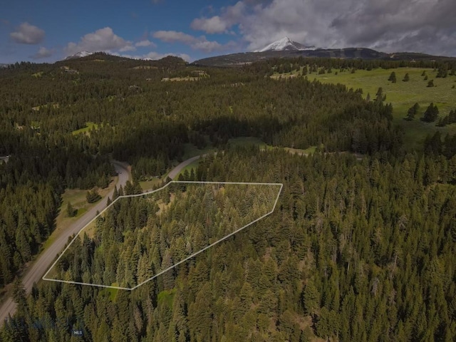 tbd Crown Butte, Big Sky, MT 59716 - photo 3