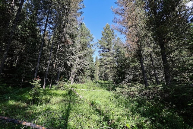 tbd Crown Butte, Big Sky, MT 59716 - photo 4