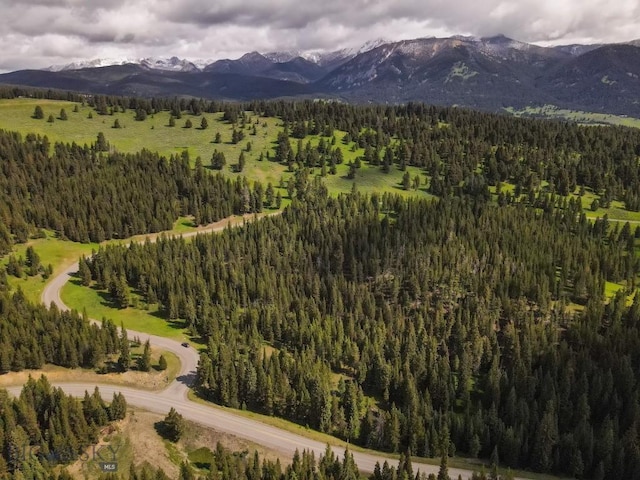 tbd Crown Butte, Big Sky, MT 59716 - photo 28