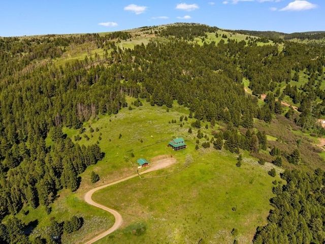 755 Coffee Creek Rd, Bozeman, MT 59715 - photo 92