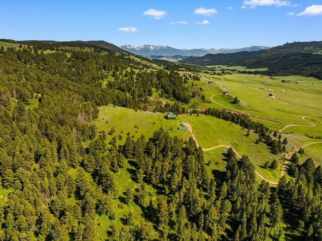 755 Coffee Creek Rd, Bozeman, MT 59715 - photo 94