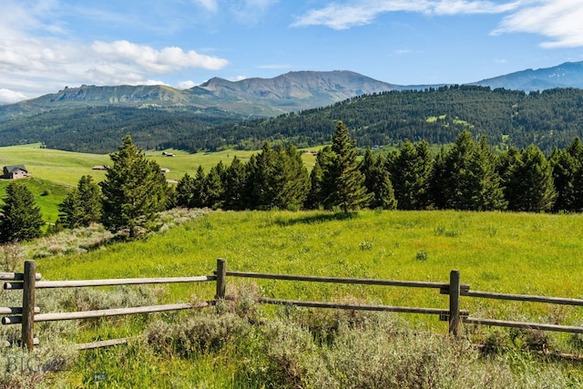 755 Coffee Creek Rd, Bozeman, MT 59715 - photo 95