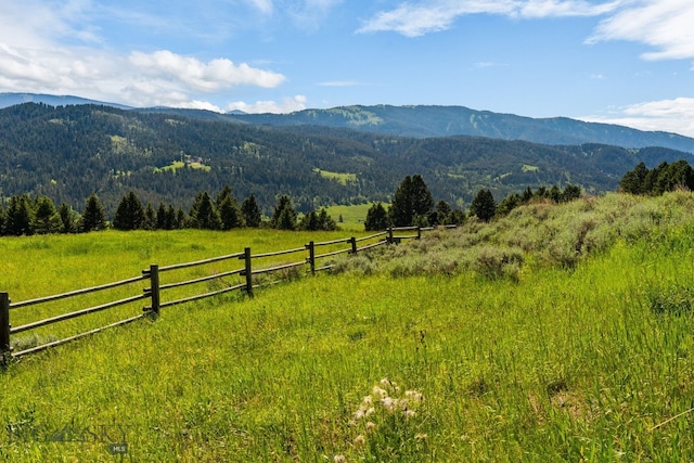 755 Coffee Creek Rd, Bozeman, MT 59715 - photo 96