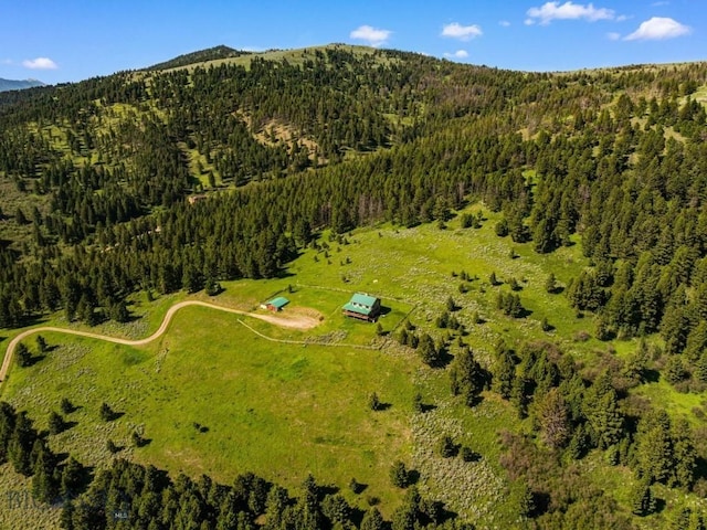 755 Coffee Creek Rd, Bozeman, MT 59715 - photo 98