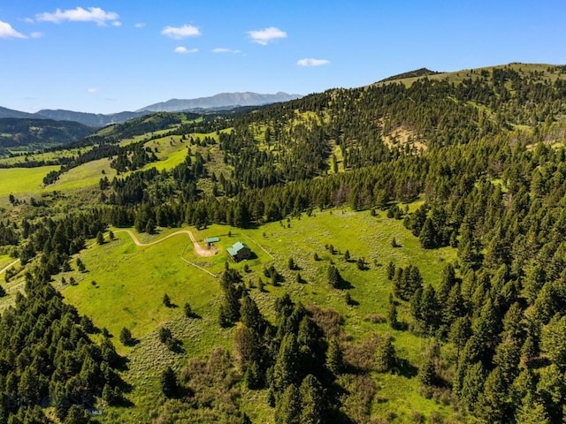 755 Coffee Creek Rd, Bozeman, MT 59715 - photo 99
